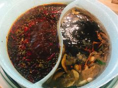 -青瓷火锅料理(西单大悦城店)