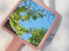 -满記土窑烧鷄波浪山莊