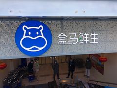 -盒马鲜生(双清路店)