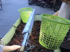 -电台龙虾烧烤排档(尚达新天地购物广场店)