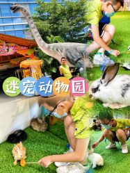 -欢乐舟·舟舟玩乐园