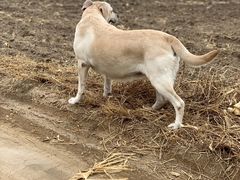 -万源龙顺度假庄园生态观光园