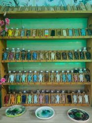 -袁亮今日陶艺(苹果社区总店)