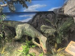 -陕西自然博物馆