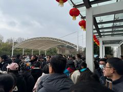 -句容茅山景区