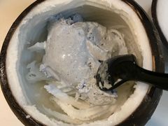 -志龙皇冠吃货椰子铺