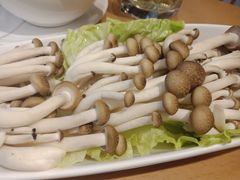 -湯系·煲汤手艺人(东二环泰禾广场店)