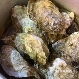 郭百万～必吃烧烤