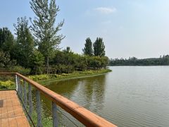 -东郊湿地公园