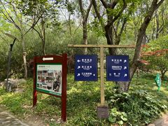 -上海吴淞炮台湾国家湿地公园