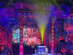 -广州长隆国际大马戏