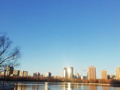 -莲花池公园