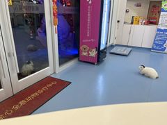 -全心全意动物诊疗中心医院(北苑店)