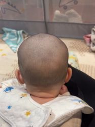 -龙文宝贝上门婴儿理发满月剃胎毛(总店)