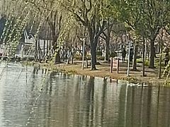 -新江湾城公园
