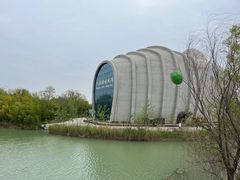 -泗洪洪泽湖湿地景区