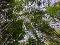 -敬亭山风景名胜区