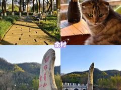 -阿露佳·舌尖上的安吉菜