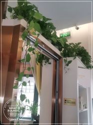 点击看大图 -尚艺造型.剪烫染.接发