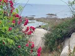 -养马岛旅游度假区
