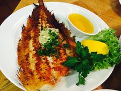 -NORDSEE Frankfurt Fisch Franke