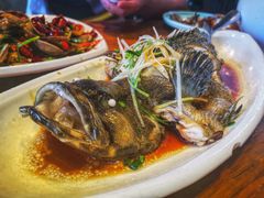 清蒸石斑鱼-南海渔家•海鲜•正宗海南菜(海棠湾店)