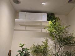 -理療君·古法推拿•姜疗•SPA馆(东门店)