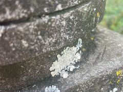 -西昌邛海湿地-月亮湾景区