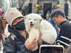 -巴公房子
