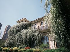 -府河摄影公园