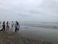 -江山半岛白浪滩景区