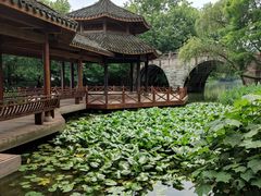 -西湖外事游船(花港观鱼码头)