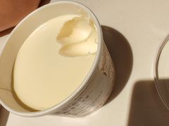 奶皮子酸奶-大铁勺新津菜(迎水道店)