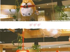 大堂-柴务处·柴犬主题狗咖