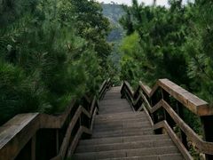-龙门崮风景区