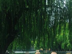 -济宁运河核心景区
