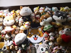 -逗柴咖啡屋·狗咖猫咖宠物桌游