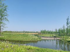 -春花秋色城市公园