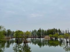 -贡湖湾湿地公园