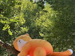 -西安电影制片厂