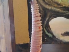 -土著渔匠·养生蝴蝶鱼(香樟路店)