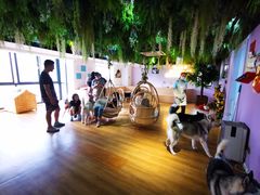 -Husky Go! 哈士奇体验馆·宠物咖啡厅狗咖