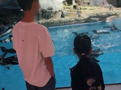 -帝企鹅自助餐厅•儿童岛•真企鹅(长隆企鹅酒店)