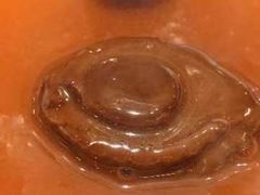 -海宝酒家(中山四路店)