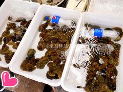 -登州市场(登州路店)