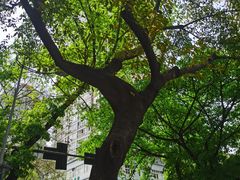 -日月光中心广场