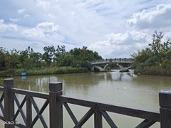 -上海长兴岛郊野公园