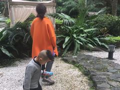 -观澜湖旅游度假区