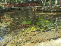 -水磨沟公园