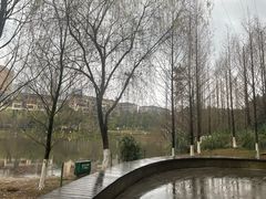 -沐仙湖湿地公园